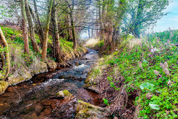 Gefälle im Rothbach bei Schwerfen in der Zülpicher Börde