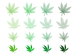 Vector Isolated Set of Hand drawn Weed Leaves, Marijuana contours leaves, Cannabis in Green tones for Logo Design, Icons, Prints, Banners or Packaging design.