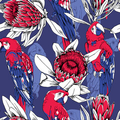 Floral Seamless pattern. Bright Parrots and a red exotic protea flowers on a blue background. Textile composition, hand drawn style print. Vector illustration.