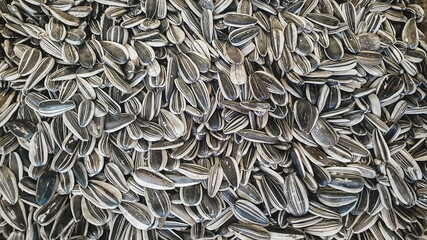 Organic sunflower seeds. Background, abstract, texture.
