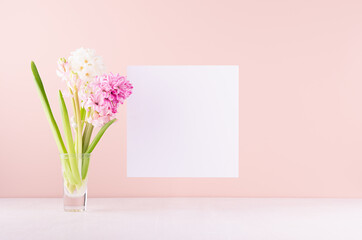 Soft light exquisite pink hyacinth flowers in glass vase with white blank paper for text on white wood table, romantic springtime background.