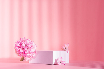 Elegant spring showcase with white square podium for display cosmetic and goods in sunlight, striped shadows with tender hyacinth flowers on pink background, copy space.
