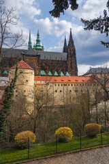 Fototapeta na wymiar Walk through the streets of Prague. View of St. Vitus Cathedral, Czech Republic.