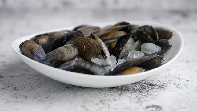 Shellfish raw mussels in ceramic white bowl, placed on stone gray background