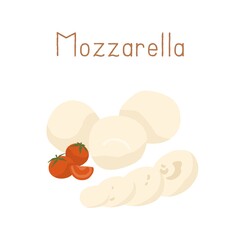 Gourmet Italian Mozzarella cheese with cherry tomatoes. Whole Mozarella balls and its cut pieces. Colored flat vector illustration of delicatessen food isolated on white background