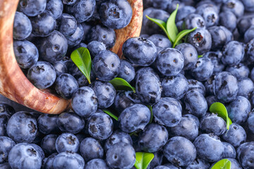 Fresh blueberry background. Blueberry Texture Close Blueberry Antioxidant Organic Superpeed Bowl Concept Healthy Nutrition