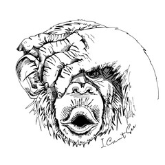 Portrait of a Funny Monkey. I can't see - lettering quote. Humor card, t-shirt composition, hand drawn style print. Vector black and white illustration.