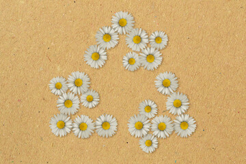 Recycling symbol made of daisy flowers - Concept of ecology and recycling