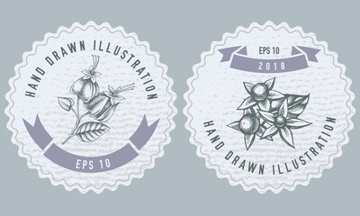 Monochrome labels design with illustration of clerodendrum