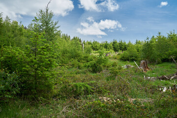 Taunus - Hessen || Wanderlust