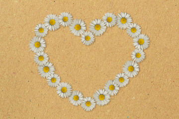 Heart made of daisy flowers on recycled paper - Concept of love and nature