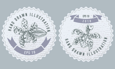 Monochrome labels design with illustration of cattleya aclandiae
