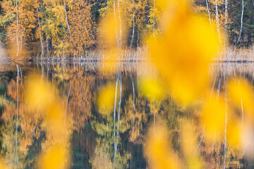 Autumn by the lake. Europe, Poland