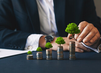 Green business growth. Businessman holding coin with tree growing on money coin stack. Finance...