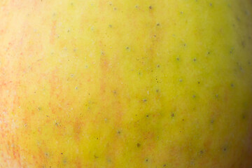 red and yellow apple skin with visible details