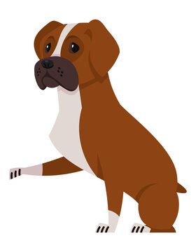 Boxer dog giving paw. Beautiful pet in cartoon style.