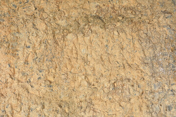 pared con humedad manchas de barro cemento textura 4M0A0511-as21
