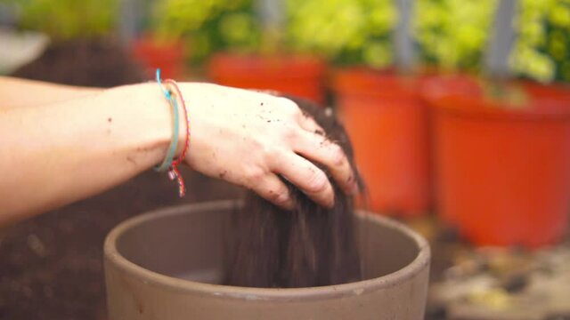 Unrecognizable woman transposing a plat into a new pot
