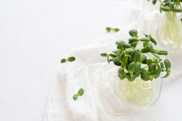 Raw sunflower microgreen sprouts in a glass on a white tablecloth and background