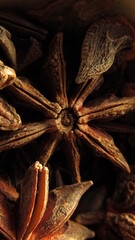 an&iacute;s estrellado 