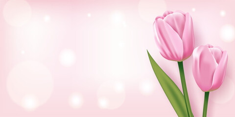 Beautiful Pink tulips on a Pink Background, Vector