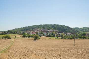 Neu-Bamberg || Wanderlust