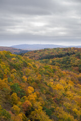 Donnersberg im Herbst || Wanderlust