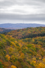 Donnersberg im Herbst || Wanderlust