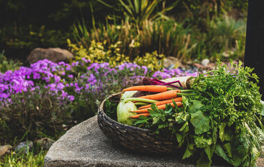 Basket with vegetables in a garden in spring time