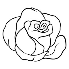 Obraz premium Hand-drawn roses. Beautiful flower. Cartoon style. Vector illustration.