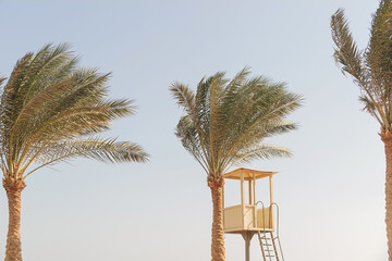 Beautiful tall palm trees and lifeguard tower on the beach by the ocean against the background of the sky