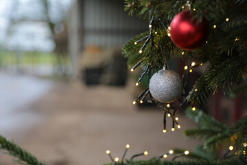 Weihnachtskugel am Tannenbaum und eine Lichterkette