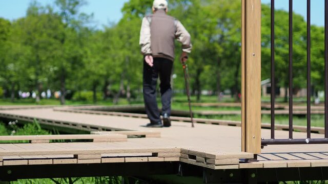 公園のボードウォークを散歩する杖をついた老人男性