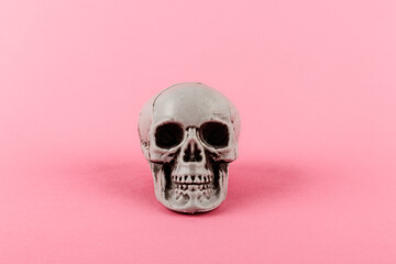 Skull on pastel pink background. Creative Halloween minimal concept. Remember that you will die.