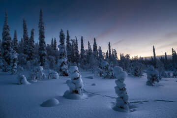 Snow sculptures in a snowy forest in Paanajärvi National Park.