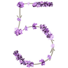 Fototapeta na wymiar vector image of the number 5 in the form of lavender sprigs in bright purple colors