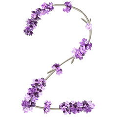 vector image of the number 2 in the form of lavender sprigs in bright purple colors