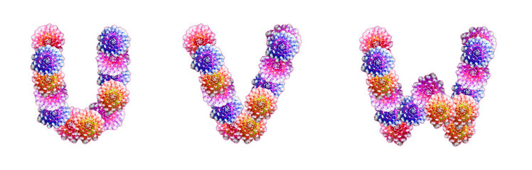 Letters U, V, W made of peony flowers