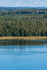 Lake in the forest