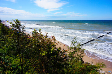 Blue sea coast and trees