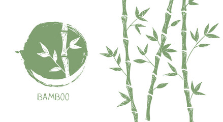 Bamboo tree. Hand drawn style. Vector illustrations.	
