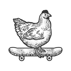 Fototapeta na wymiar Chicken on skateboard sketch raster illustration