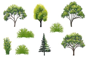 Collection of abstract watercolor tree side view isolated on white background  for landscape and architecture layout drawing, elements for environment and garden, grass illustration