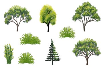 Fototapeta premium Collection of abstract watercolor tree side view isolated on white background for landscape and architecture layout drawing, elements for environment and garden, grass illustration