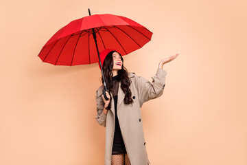 Photo of attractive girl hold umbrella rainy weather autumn look empty space wear tights isolated on beige color background © deagreez