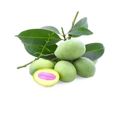 Marian Plum, (Bouea macrophylla Griffith).