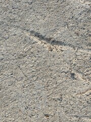texture