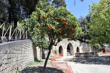Napoli -  Scorcio dei Giardini Principessa Jolanda