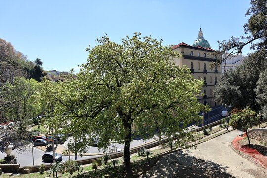 Napoli - Scorcio dai Giardini Principessa Jolanda