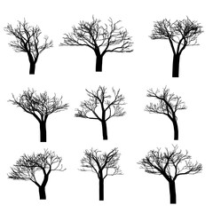Set of vector trees. Vector tree icon. Tree logo. Vector tree design. Fruit trees and fruit trees. Wild trees and shrubs.